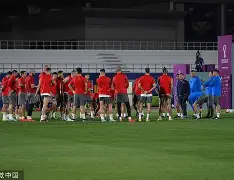 APP下载-塞维利亚发布备战花絮；加时末段临场应变；足总杯任务艰巨；赛程密集仍需轮换的简单介绍